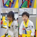 아리솔태권도 이미지