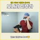 다큐플러스