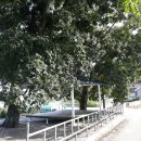 시례경로당? 이미지