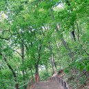 형제봉 농장 이미지