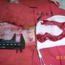 이상록동물병원 이미지