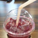 선인장을 부탁해 이미지