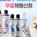 에코포우