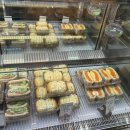 나무이야기 | 포항 빵지순례 “빵나무 이야기”방문 후기