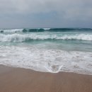 표선리-31 이미지