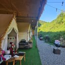 M(애견동반가능)모텔 이미지