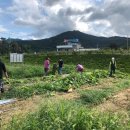 한창농장 이미지