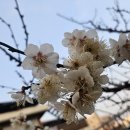 네오아트 | 천안 신방동 네일샵 - 네오뷰티네일 다녀온 솔직 후기 💅✨