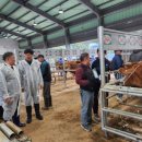 영광축산업협동조합 이미지