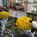 아주나유치원 이미지