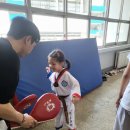 맑은누리태권도 이미지