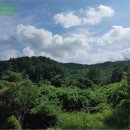 봉황보건진료소 이미지