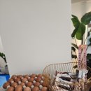 프라임리햅PT 이미지