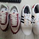 슈턴즈 이미지