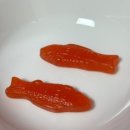 젤리피쉬 이미지