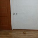 한미종합인테리어 이미지