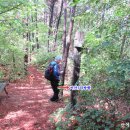 비산3리 이미지