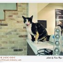 키친25(Kitchen25)