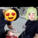 닥터홍스치과의원 이미지