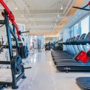 포짐 장기본점 이미지