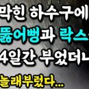 4일간 락스/뚫어뻥을 부었다.(ft.막힌 하수구에) 이미지