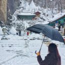 진안공영주차장 | 전북 진안 가볼만한곳 마이산 탑사 눈오는날 방문