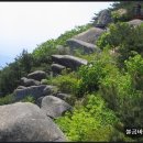 제69차 대구/비슬산(1084M)정기산행 안내(2014.04.20) 이미지