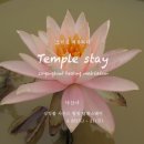 치유하다 | 싱잉볼 사운드힐링 낙산사@템플스테이/후기