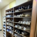 미어캣 | 홍대 동물 카페 추천 [ 쥬민센터 ] 라쿤, 미어캣 직접 만난 후기