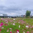 세종전통시장제1공영주차장 이미지