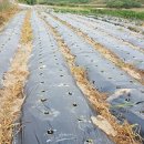 순재농장 이미지