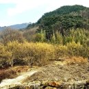 구례 이미지