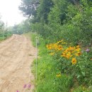 힘찬농장 이미지