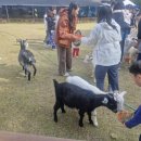 두미르어린이집 이미지