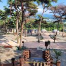 숲속어린이공원 내 이미지