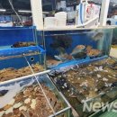 [도로]농수산물 도매시장 이미지