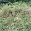 가곡3리 이미지