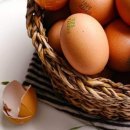 송승현농장 이미지