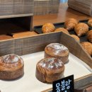 노바운더리라인