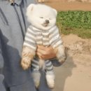 광교중앙약국 | 광교 속눈썹펌, 바짝 올려서 잘하는 곳? 아이웨이 광교점