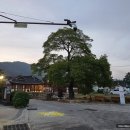 파스쿠찌강진군청점