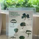 교대역 13번출구 쪽 횡단보도 | 🥗 교대역 리브팜 후기 ! 직접 키운 채소로 만든 웜볼이 이렇게 든든할 줄이야 💚