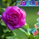 예쁜하루 이미지