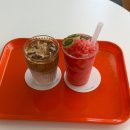 수목정 | 제주 공항근처 노형 카페 추천 | 커피 구십구점구 99.9