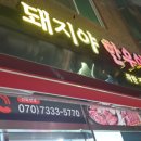 돼지야한우야 이미지