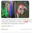 알로하탠 이미지