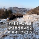 대한장묘산업
