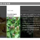 라포레스트