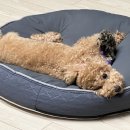 그루밍솔루션 구로점 이미지