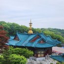 법륜사 티스토리